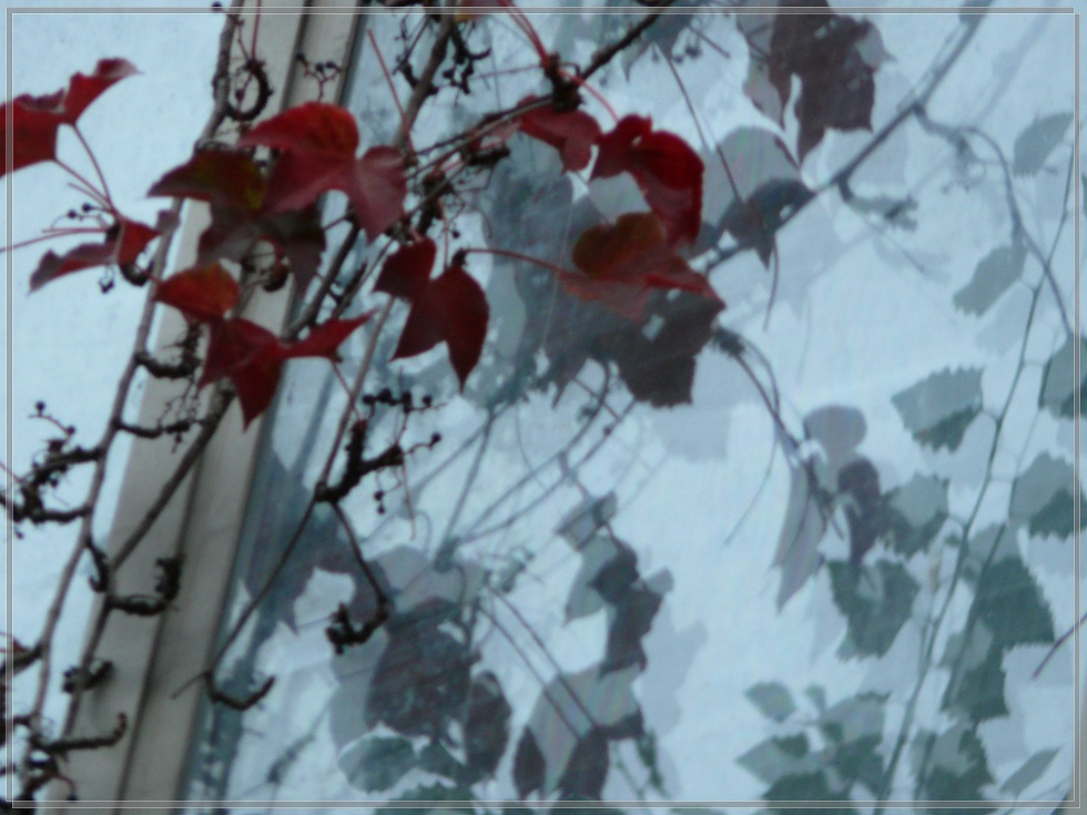 l1790737_conew1.jpg