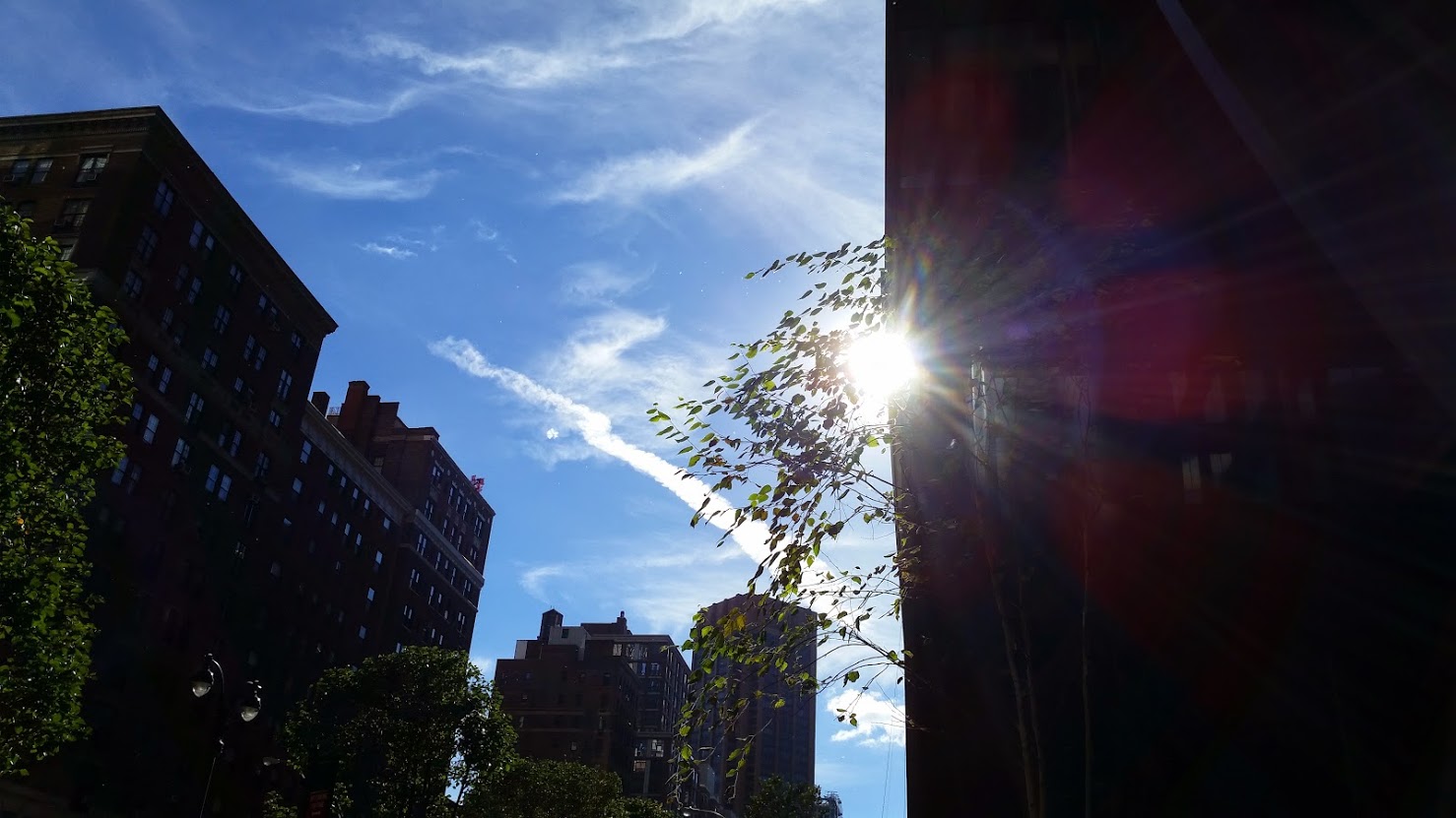 20141102_131506[4].jpg
