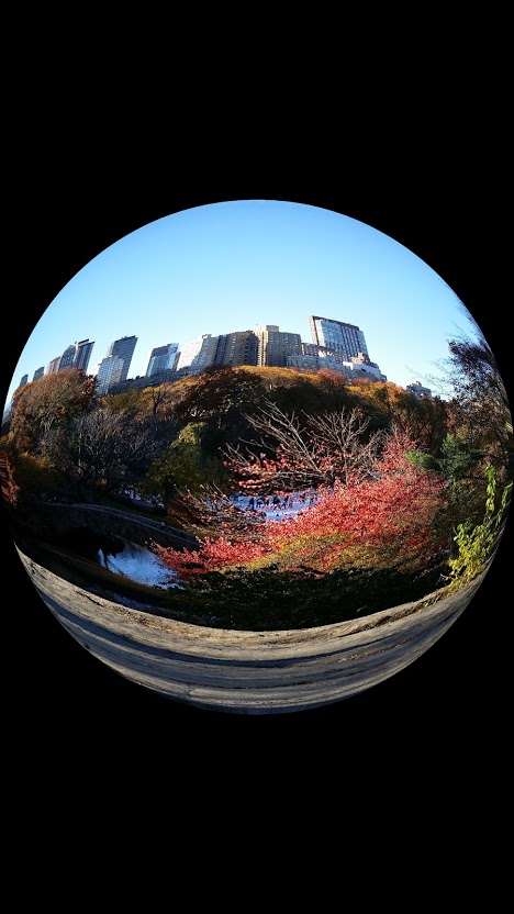 20141115_143206[2].jpg