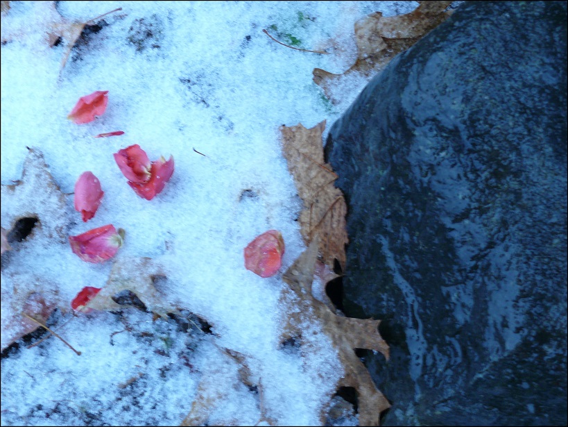 l1890501_conew1.jpg