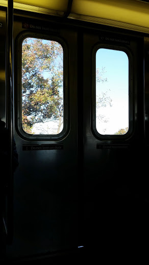 20141103_110905[2].jpg