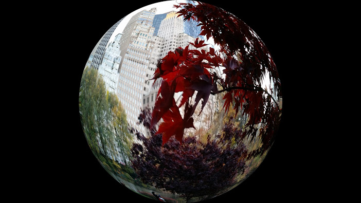 20141114_161350[1].jpg