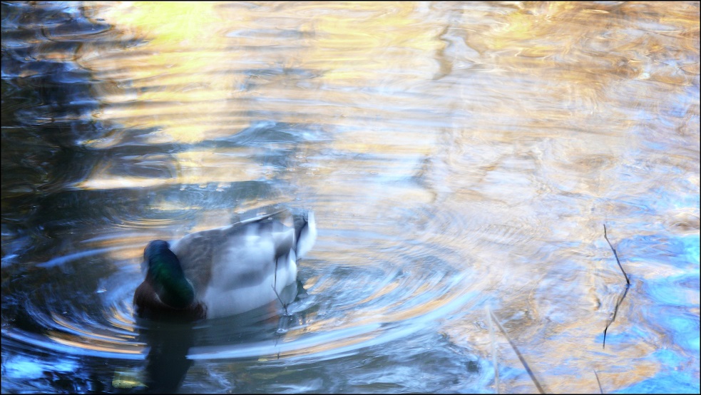 l1860552_conew2.jpg