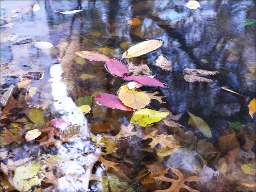 l1860246_conew1.jpg