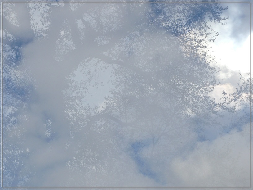 l1840122_conew1.jpg