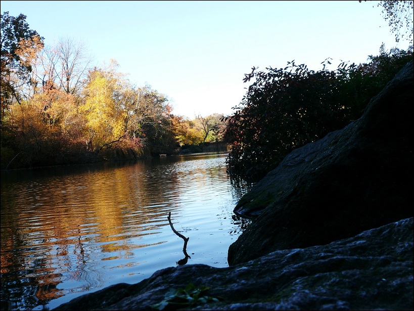 l1860327_conew1.jpg