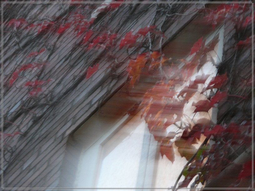 l1790769_conew1.jpg