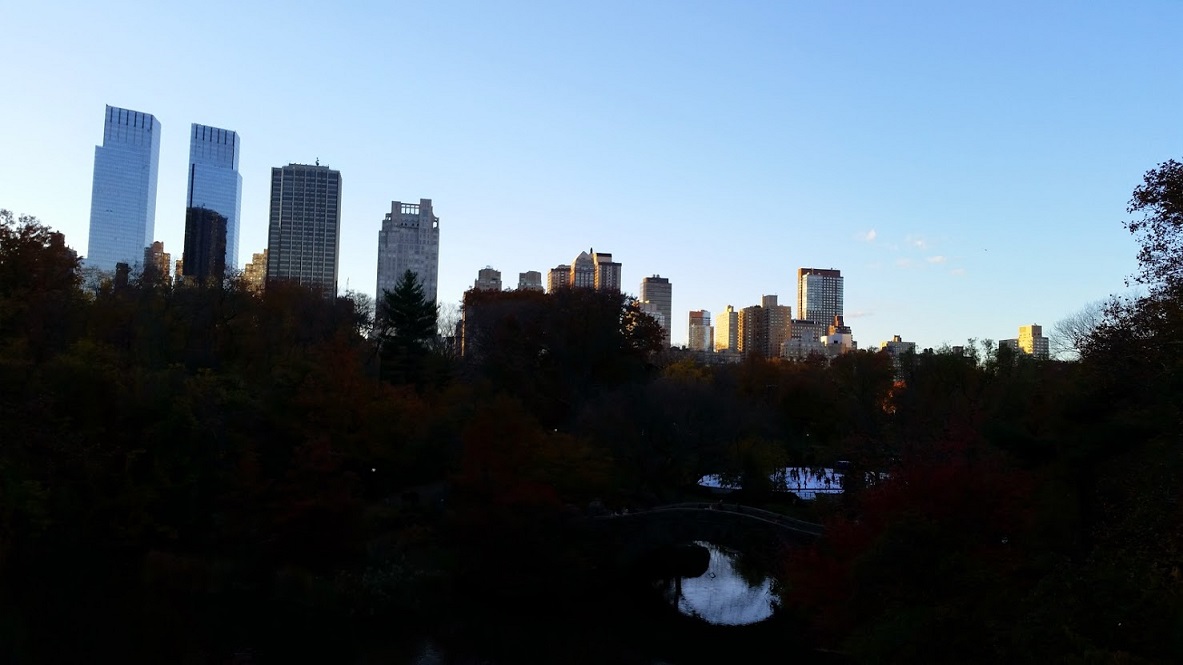 20141114_155824[1].jpg
