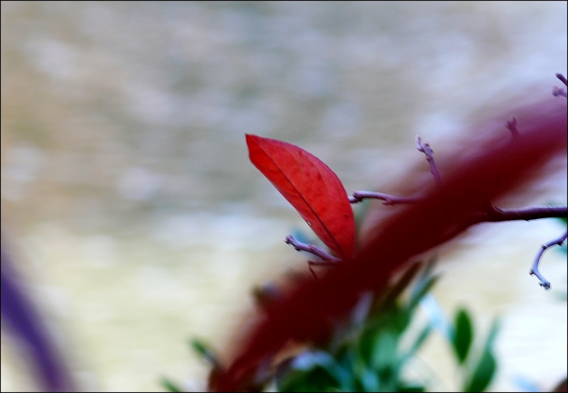l1860629_conew1.jpg