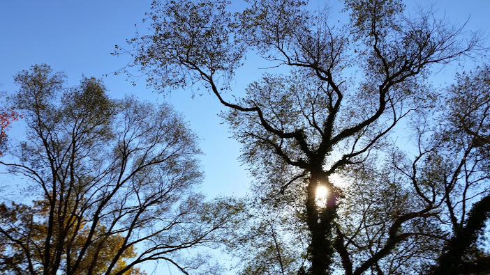20141110_104457[1].jpg