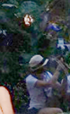 canvas_.png