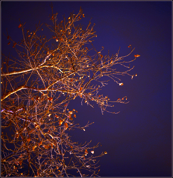 DSC_1719.jpg