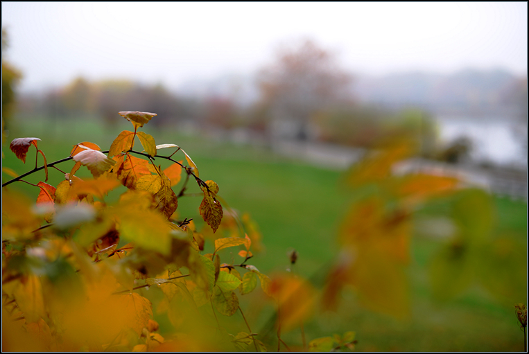 DSC_9332.jpg