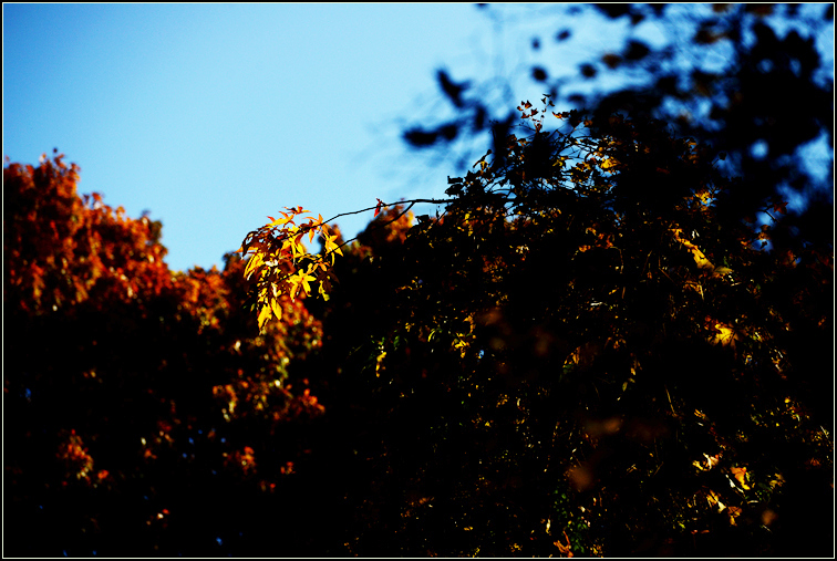 DSC_0309.jpg