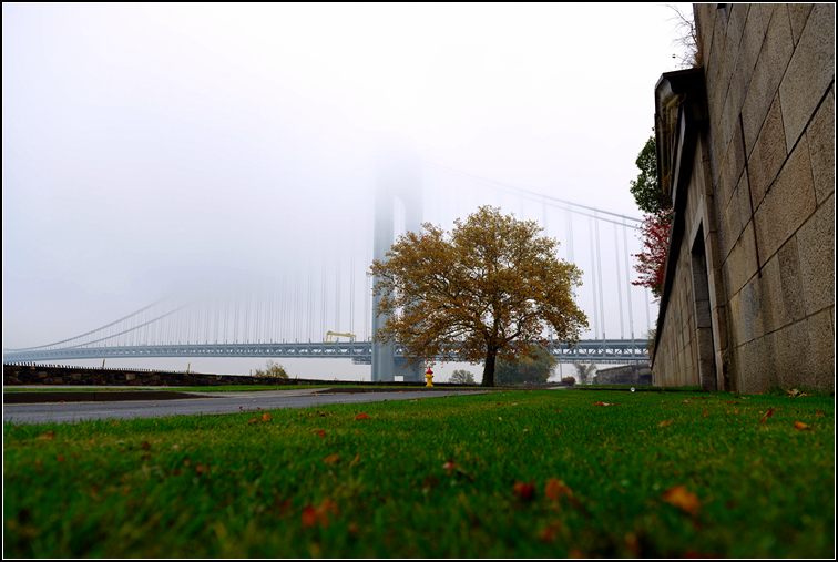 DSC_9400_1.jpg