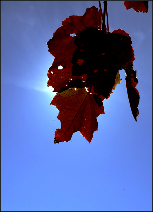 DSC_0492.jpg