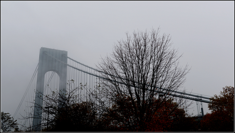 DSC_9473.jpg