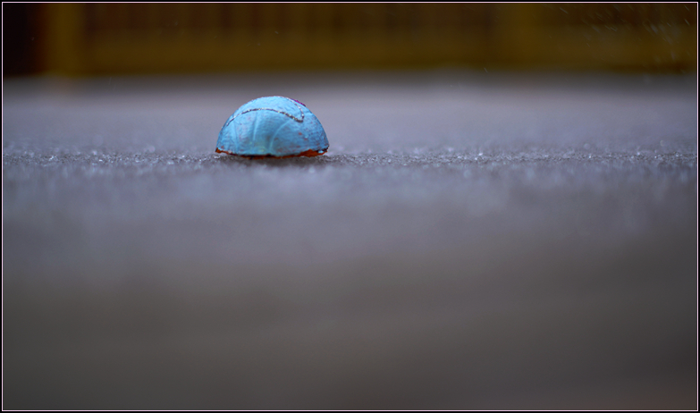 DSC_1710.jpg