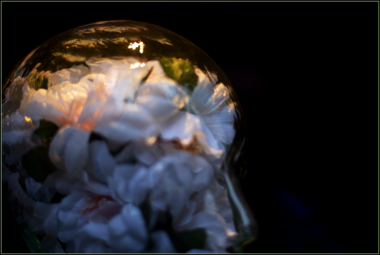 DSC_7924.jpg