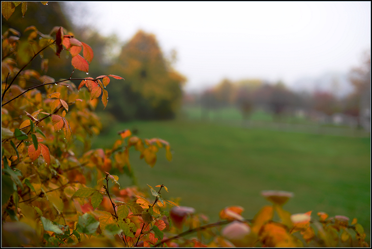 DSC_9331.jpg