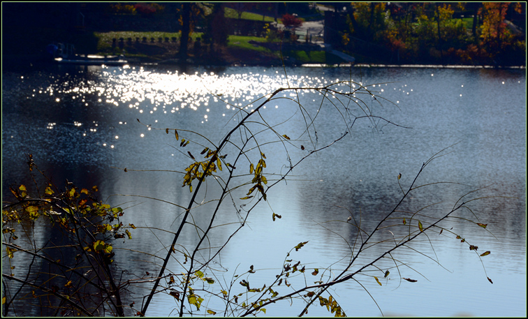 DSC_0260.jpg