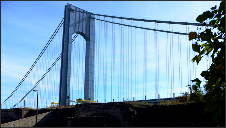 DSC_8861_1.jpg