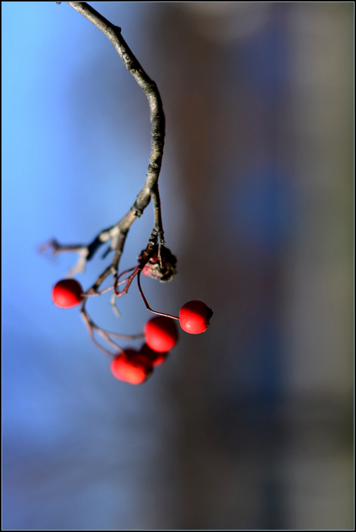 DSC_0434.jpg