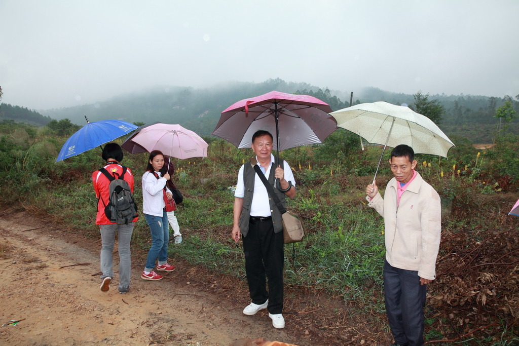 _MG_9956.JPG
