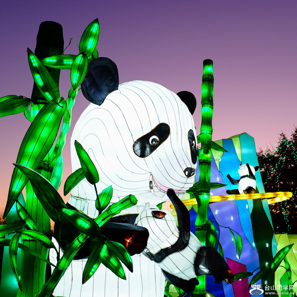 S0507249_106.jpg