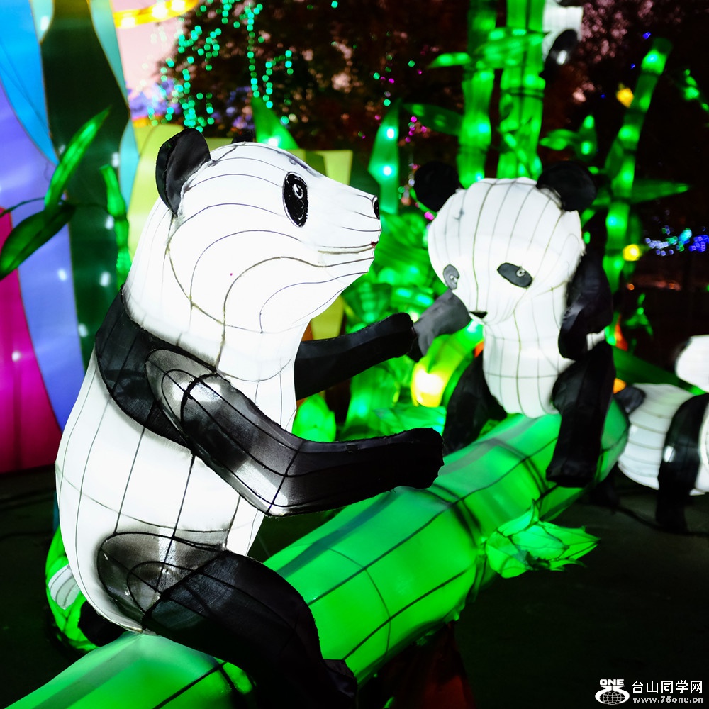 S0357176_7.jpg