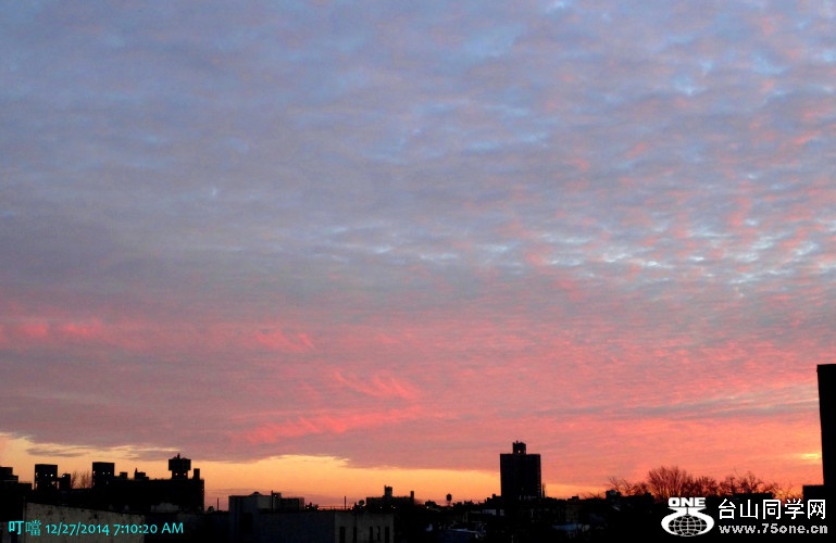 DSC04516a_1.jpg