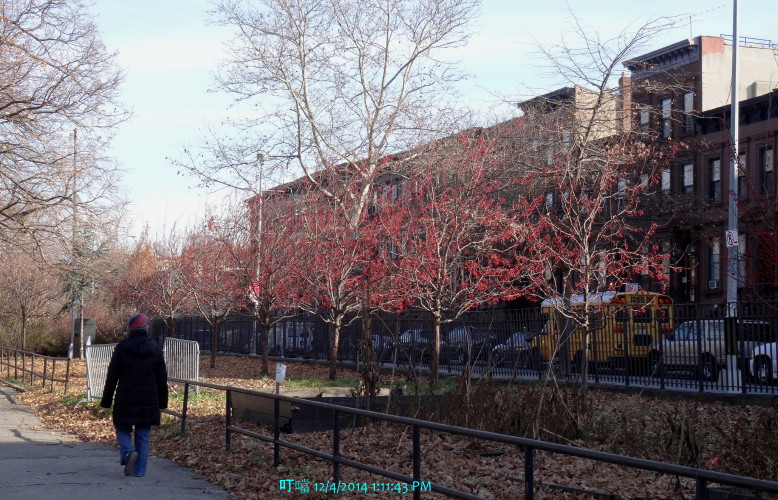 DSC04344a_1.jpg