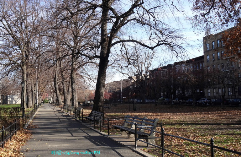 DSC04342a_1.jpg
