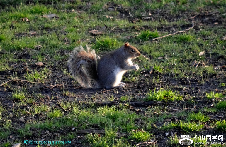 DSC04523a_1.jpg