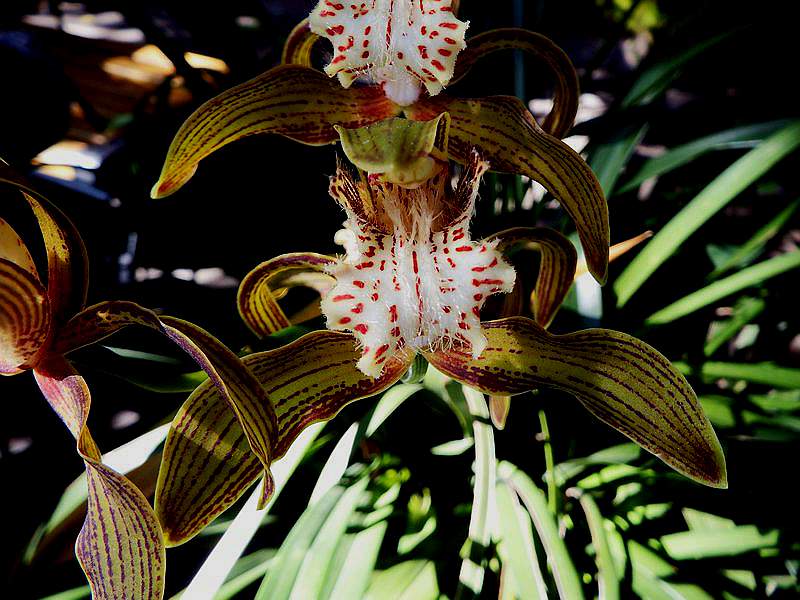 DSCF7731.jpg