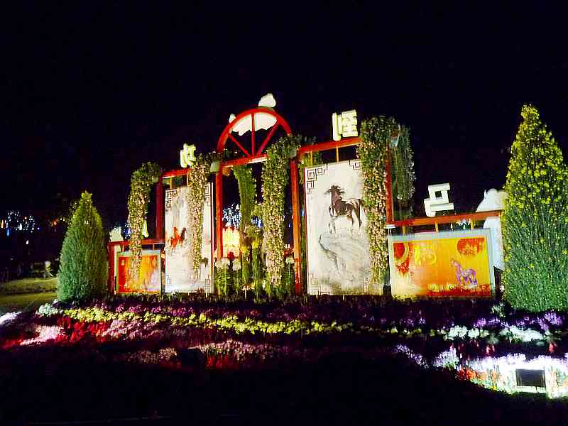DSCF0010.jpg