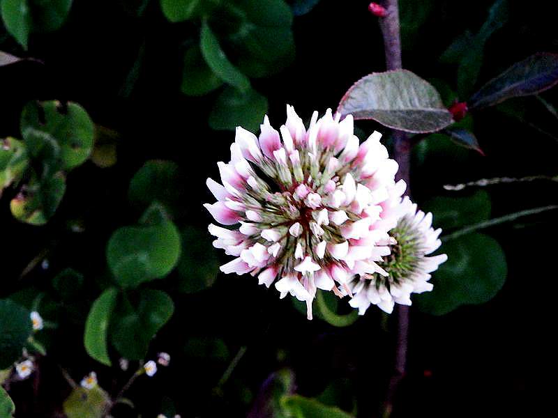 DSCF7891.jpg