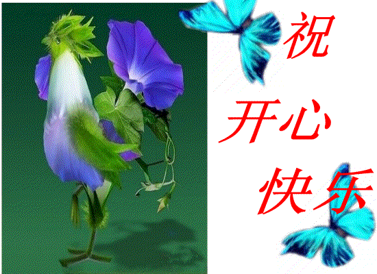 6621_59dd1408764496efab3cbe0d2129d-copy-2.gif