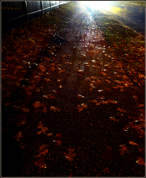 dsc00505_.jpg