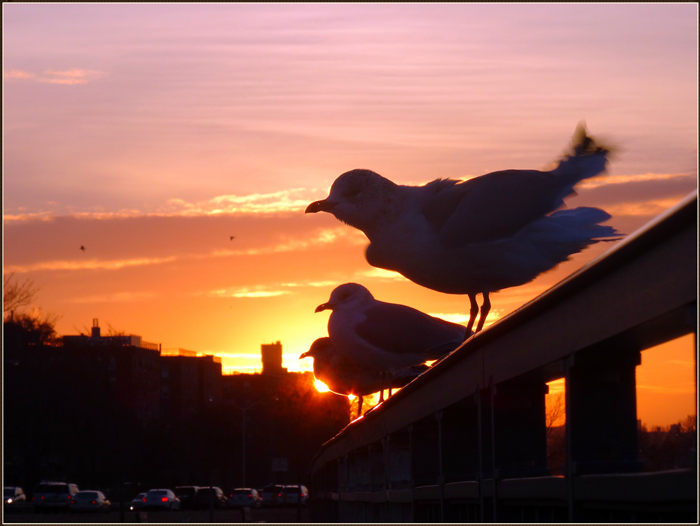 dsc00580_.jpg