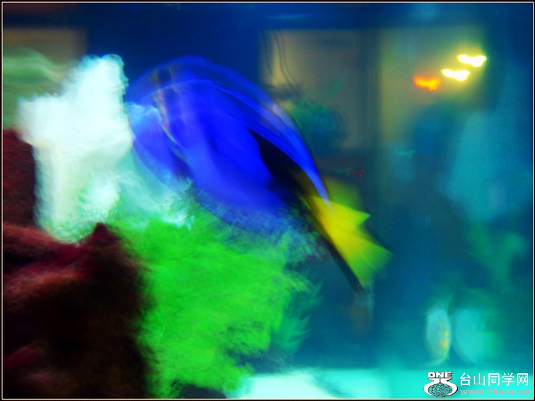 DSC00751_.jpg