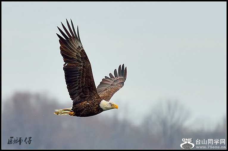 DSC_1145a_.jpg