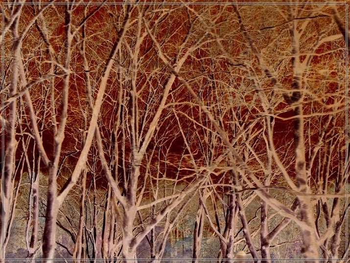 l1890530_conew2.jpg