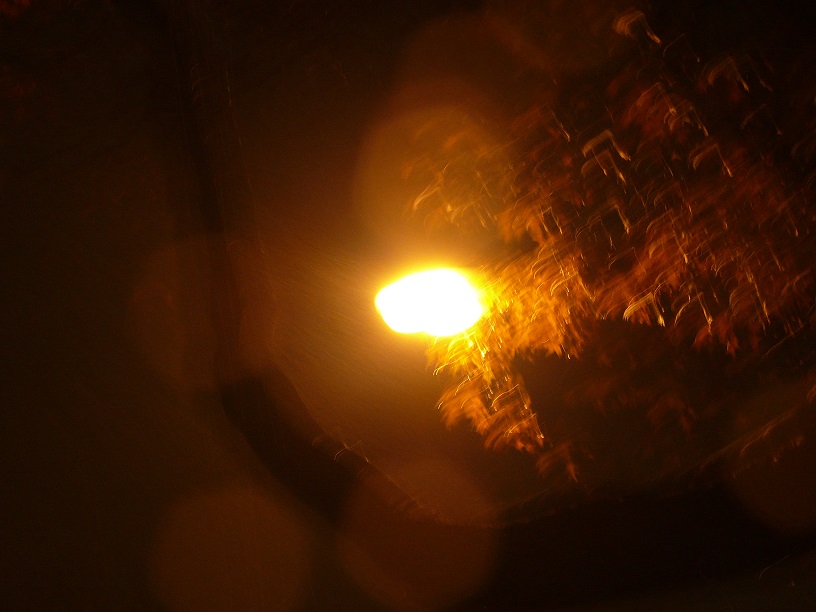 L1920878.JPG