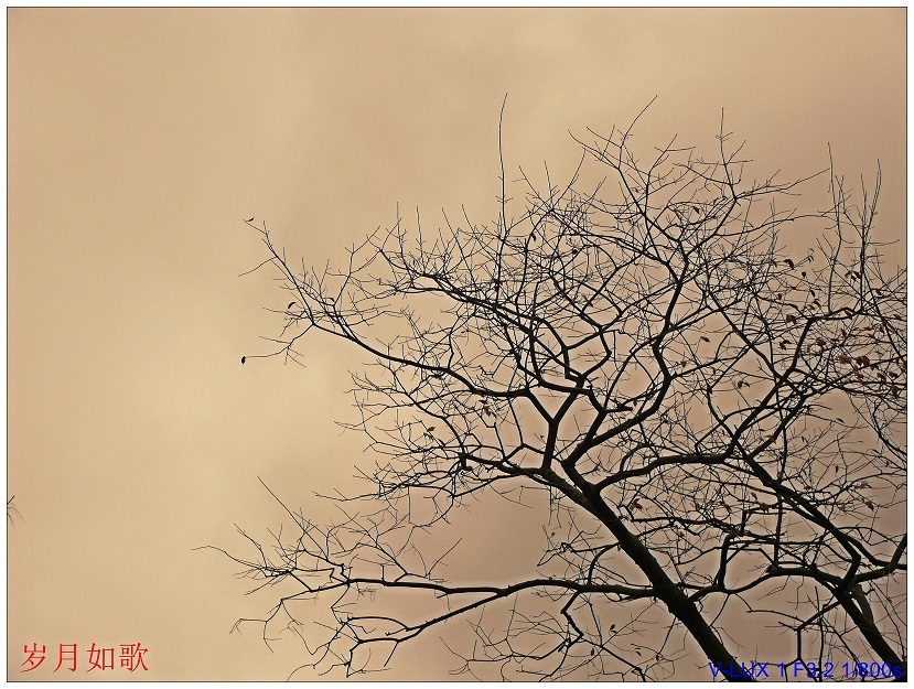 l1920927_conew1.jpg