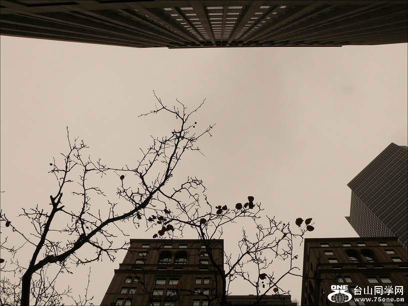 l1980978_conew1.jpg