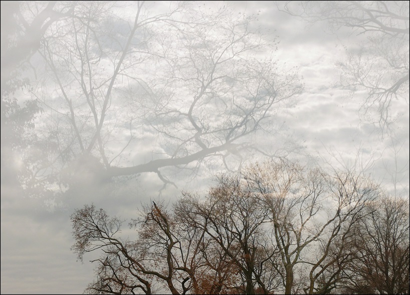 l1920150_conew1.jpg
