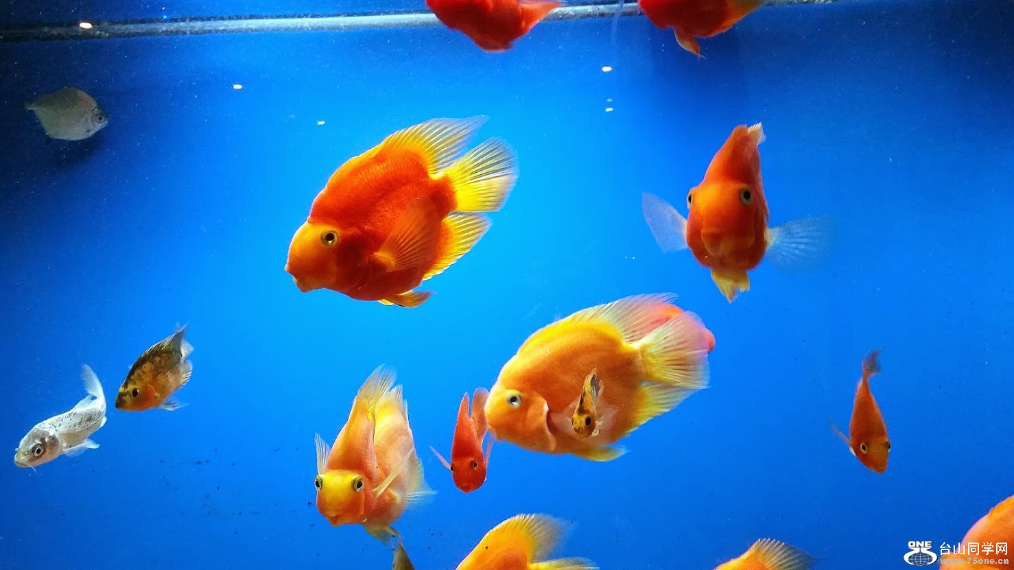 20141225_191340[3].jpg