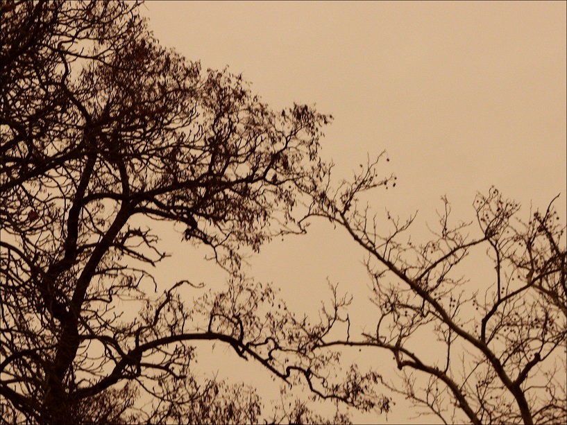 l1920474_conew1.jpg