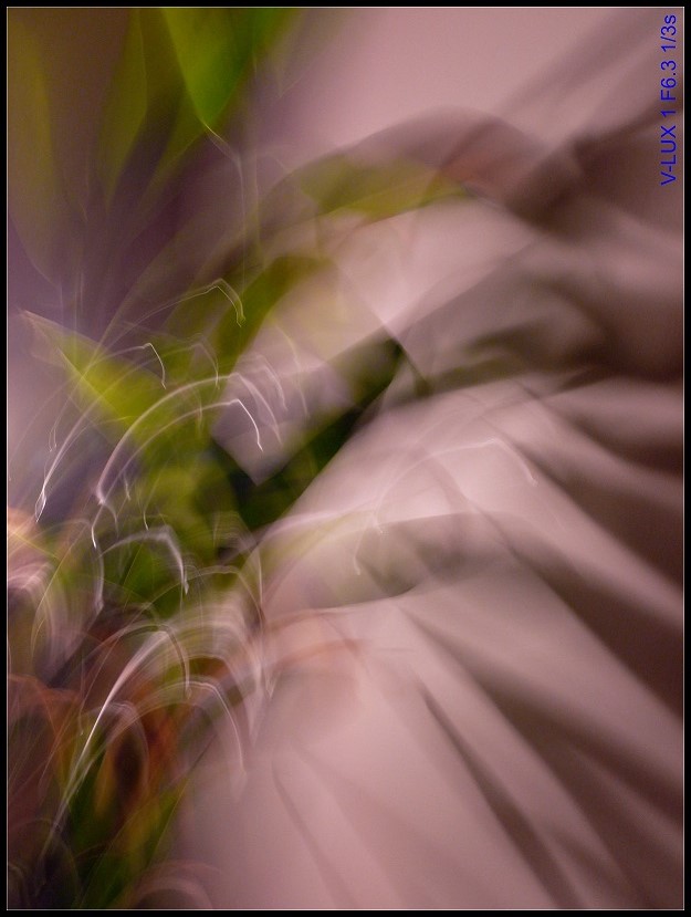 l1950555_conew1.jpg